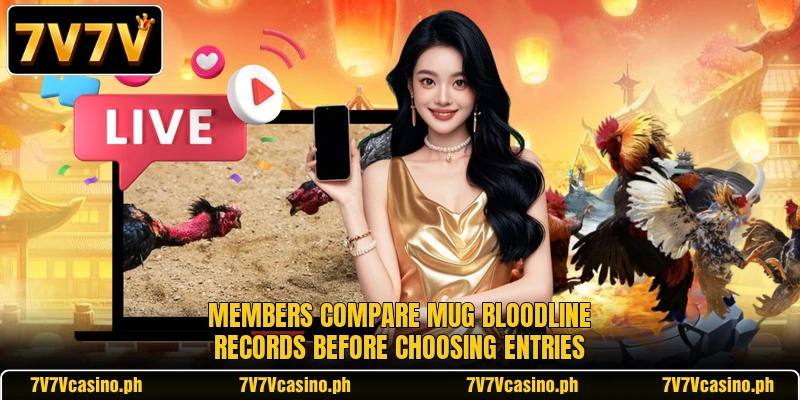 Members compare mug bloodline records before choosing entries Members compare mug bloodline records before choosing entries