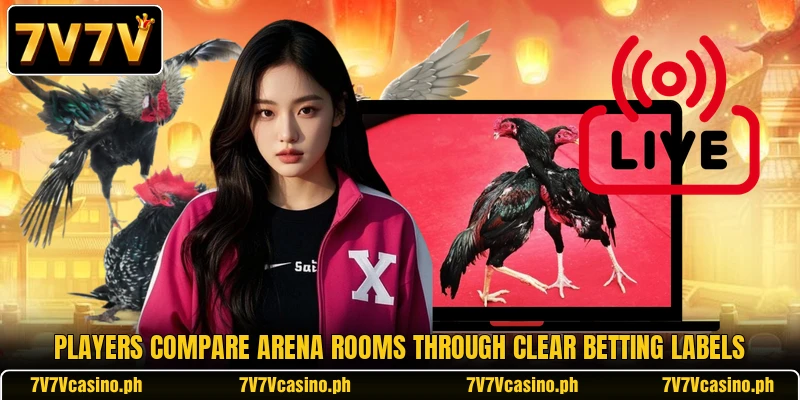Players compare arena rooms through clear betting labels Players compare arena rooms through clear betting labels